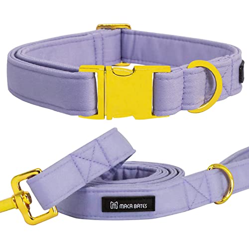 Maca Bates Dog Collar and Leash Set, Adjustable Solid Dog Collar and Leash for Small Medium Large Dog with Golden Metal Buckle - color: set-violet, size: XS