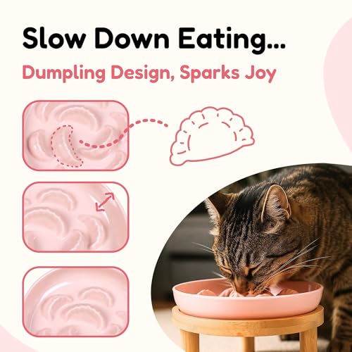 Slow Feeder Bowl, 6.3″ Elevated Cat Bowl with Stand, Melamine Wide Shallow Food Bowl, Whisker-Friendly Raised Plate, Wet Food Feeder for Slow Eating (Pink) - color: Pink, size: 1 Pack with Stand - 6.3''W x 1.5''H