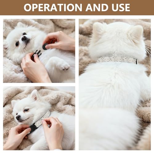 Arrows Beige Adjustable Buckle Kitten Collars 2 Pack Pet Collars for Cats - color: Arrows Beige