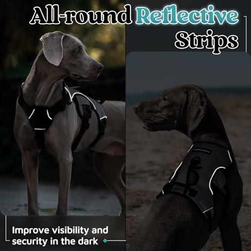 rabbitgoo Escape Proof Dog Harness, Soft Padded Full Body Pet Harness, Reflective Adjustable No Pull Vest with Lift Handle and Leash Clip for Large Dogs Walking Hiking Training, M, Grey - color: Grey, size: Medium (Pack of 1)