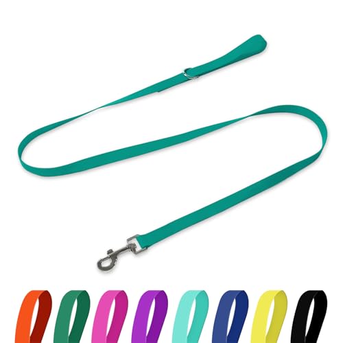 Waterproof Dog Leash, 5/6 FT Durable Odor-Proof Dog Leashes with Strong Metal Hooks Fits Small Medium or Large Dogs (Emerald Green, 5FT - 3/4 inch Width) - color: Emerald Green, size: 5FT - 3/4 inch Width