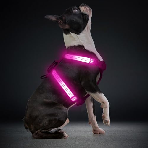 Light Up Small Dog Harness, LED Rechargeable Harness for Small Sized Dog, No Pull Reflective Adjustable Dog Vest Harness with Soft Light, Glow-in-The-Dark for Night Safety Walking (Pink)