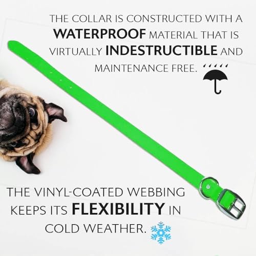 Regal Dog Products Small Light Green Waterproof Dog Collars with Custom Engraved Name Plate | Vinyl Coated, Easy to Clean Personalized Biothane Dog Collar - Other Sizes for Medium & Large Dogs - color: Light Green, size: Small Collar