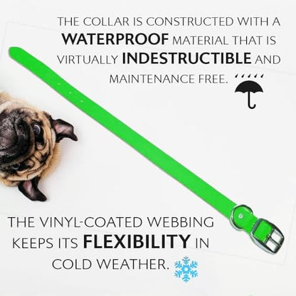Regal Dog Products Small Light Green Waterproof Dog Collars with Custom Engraved Name Plate | Vinyl Coated, Easy to Clean Personalized Biothane Dog Collar - Other Sizes for Medium & Large Dogs - color: Light Green, size: Small Collar
