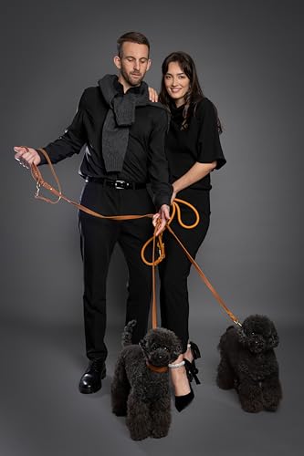 NOAH & PAW Leather Dog Leash, Premium Oil-Waxed Leather Braided, 8 ft Long Dog Leash with 6 Ways to Use Hands-Free, Quick-tie, Double Pet Lead Etc. Matching Collar Available. (Camel) - color: Camel