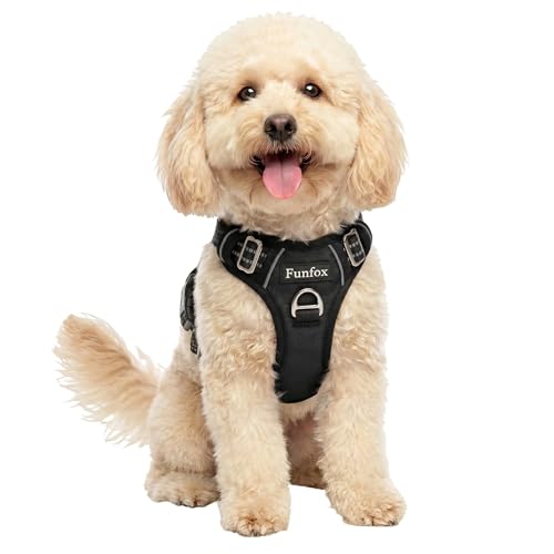 Funfox Dog Harness Small Sized Dog, Vertical Handle Easy Control, No Pull Pet Vest Adjustable with 2 Leash Clips, Soft Material, Reflective Safe Night Walking for Small Medium Large Breed, Black, S - color: Black, size: Small