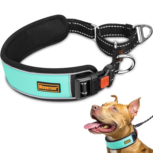 Mayerzon 2 Inch Wide Martingale Collar for Large Dogs, Patented No Pull Walking Training Dog Collar for Pitbull German Shepherd, with Buckle, Reflective Stitching, Neoprene Layer, Adjustable(Teal, M) - color: Teal, size: M: 17"-19"