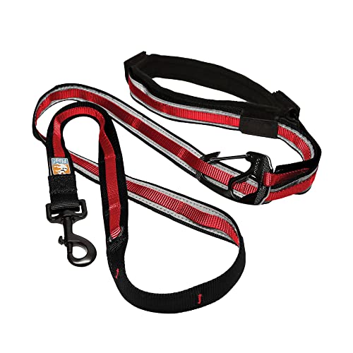 Kurgo Reflective 6-in-1 Quantum Dog Leash, Barn Red - color: Barn Red
