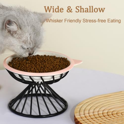 Elevated Cat Bowls,6.3" Wide Raised Ceramic Cat Food Bowl with Anti-Slip Metal Stand for Indoor Cats,Whisker Friendly,Protect Pet's Spine Pet Food Dishes for Flat Faced Cats and Kitten (Pink) - color: Pink