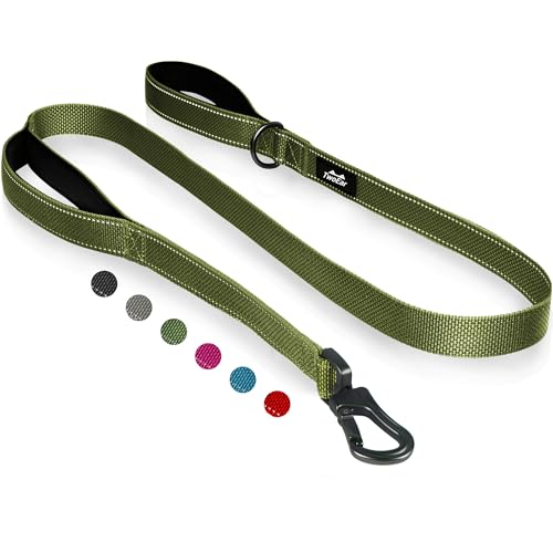 TwoEar 4FT 1IN Strong Green Dog Leash with 2 Padded Handles, Traffic Handle Extra Control, Comfortable Soft Dual Handle, Auto Lock Hook, Reflective Walking Lead for Small Medium and Large Dogs - color: Green, size: 1 in x 4 ft