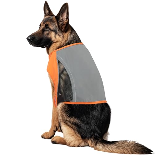 Reflective Dog Vest for Large Dogs, Orange High Visibility Safety Pet Vest for Hunting, Walking at Night - size: L