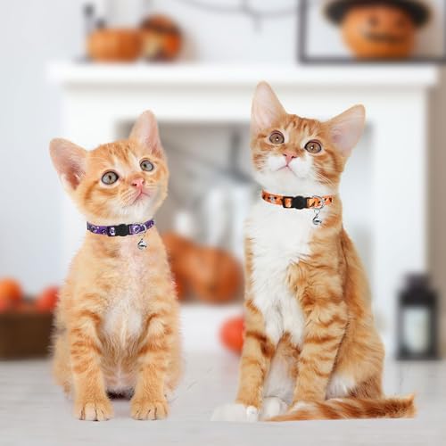 4 Pack Halloween Kitten Collars Breakaway with Bells, Adjustable Cat Collars with Safety Buckle,Adjustable from 6"-8", Skull and Crossbones,Ghosts, Spider and Pumpkin Prints - color: 8#Spider, size: Kitten(Neck:6"-8")