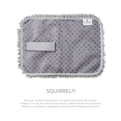 Pet Parents Forager Slow Feeder CAT and Dog Snuffle MAT and Feeding MAT, Forest Grey, Large