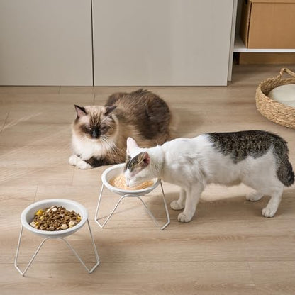 CEEFU 2-Pack Ceramic Raised Cat Bowls for Food and Water, Elevated Pet Dishes Bowls with Stand, Cats and Small Dogs, Dishwasher Safe