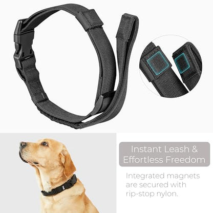 TUG Grab Collar | Integrated Traffic Leash Magnetically Attached for Quick Control (Medium/Black) - color: Black, size: Medium
