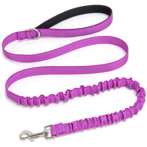 Bungee Dog Leash- 5FT Shock Absorbing & Reflective Nylon Leash | Anti-Pull Training for Small/Medium Dogs | 2cm Wide, 6 Colors (Purple) - color: Purple
