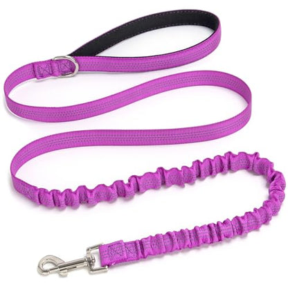Bungee Dog Leash- 5FT Shock Absorbing & Reflective Nylon Leash | Anti-Pull Training for Small/Medium Dogs | 2cm Wide, 6 Colors (Purple) - color: Purple