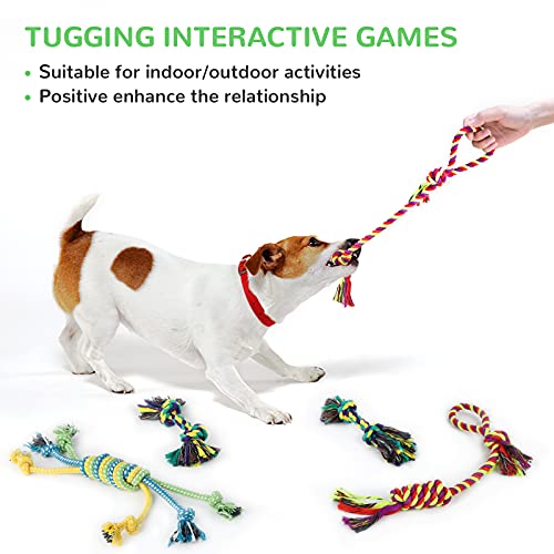 LEGEND SANDY Puppy Toys, Squeaky Dog Toys for Small Dogs, 12 Pack Puppy Chew Toys for Teething, Dog Rope Toy and Cute Stuffed Animals Value Bundle - color: 12 PACK PUPPY TOYS