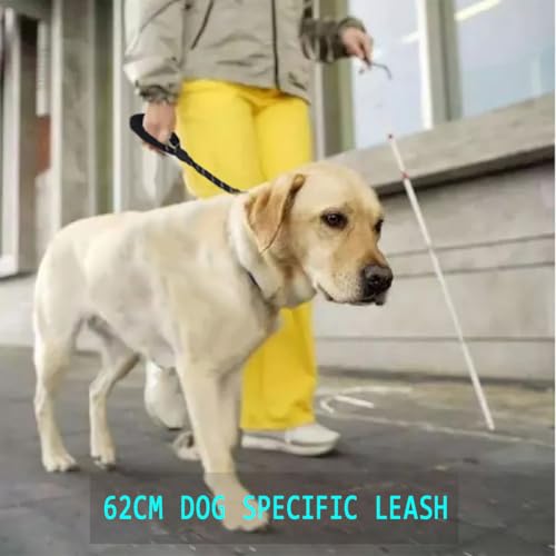 Dog Leash with Soft Padded Handle & Silver Reflective Strips - 24-Inch Heavy Duty Nylon Dog Lead, Anti-Chew Layer, 360° Swivel Clip for Tangle-Free Walking (Black)