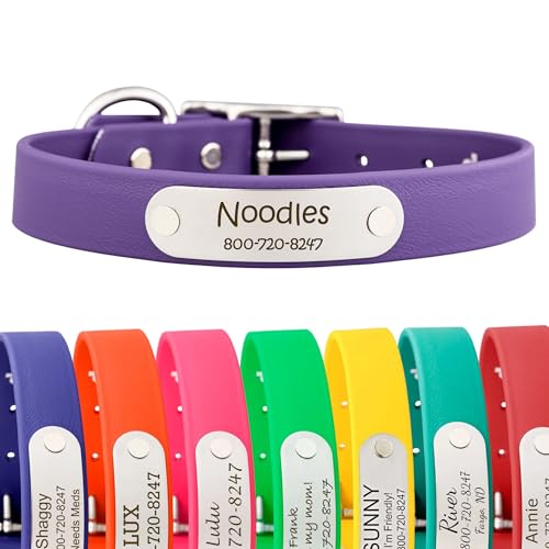 dogIDs Personalized Dog Collar – Custom Waterproof Soft-Grip Biothane with Laser-Engraved Nameplate, Durable & Odor-Resistant, USA Made | Purple, 1 in x 16 in (Fits Necks Size 14-18 in) - color: Purple, size: 1 in x 16 in (Fits Necks Size 14-18 in)