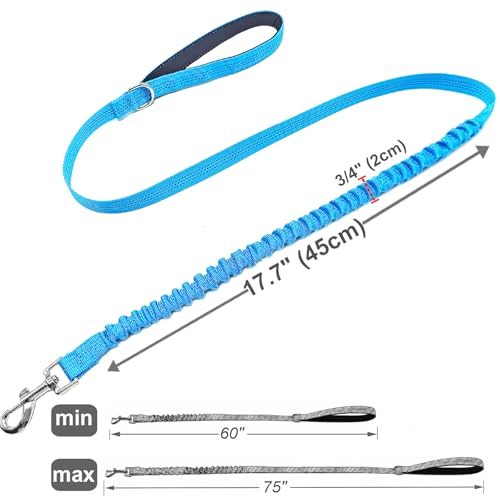 Bungee Dog Leash- 5FT Shock Absorbing & Reflective Nylon Leash | Anti-Pull Training for Small/Medium Dogs | 2cm Wide, 6 Colors (Teal) - color: Teal