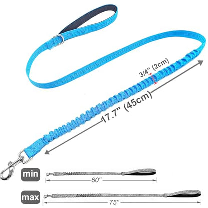 Bungee Dog Leash- 5FT Shock Absorbing & Reflective Nylon Leash | Anti-Pull Training for Small/Medium Dogs | 2cm Wide, 6 Colors (Teal) - color: Teal