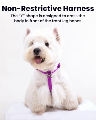 Non Restrictive No Pull Dog Harness, Neck Buckle Desgin, Lightweight Easy Walk Freedom Harness, Keep Balance, Sewn-in Instructions Labels for Easy Use, Small Dogs Chest(17-23inches) Purple - color: Purple, size: S