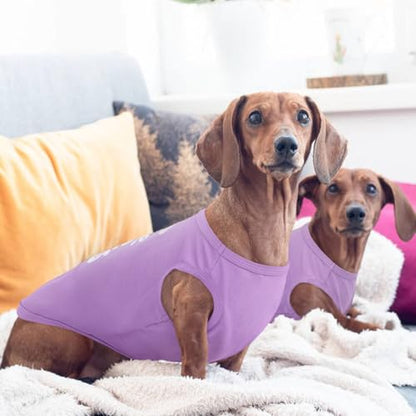 Kuoser Dog Shirt, Printed Dogs T-Shirt Soft Breathable Dog Shirts, Cute Doggy Sweatshirt for Small Medium Large Girls Boys, Pet Funny Clothes Tank Top Sleeveless Dogs Vest, Purple L - color: Purple, size: Large (Chest: 21.65")