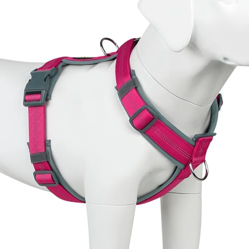Plutus Pet No Pull Dog Harness, Adjustable Nylon Harness with Soft Padding, Reflective and Heavy Duty Dog Harness for Small, Medium, Large Dogs(Hot Pink, S) - color: Hot Pink, size: S