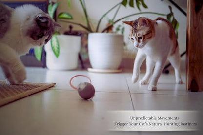 Interactive Cat Toys for Indoor Cats | Premium Quality with 3 Detachable Tails | Automatic Speed Modes with Real-Motion Movement | Rechargeable | Fun for Bored Adult Cats and Kittens