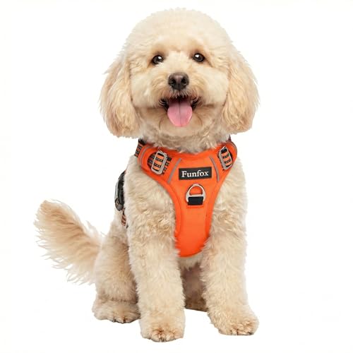 Funfox Dog Harness No Pull, Adjustable Pet Vest Harness, Super Soft Material with Vertical Handle Easy Control, Reflective Night Walking, 2 Leash Clips for Small Sized Dogs, Orange, S - color: Orange, size: Small