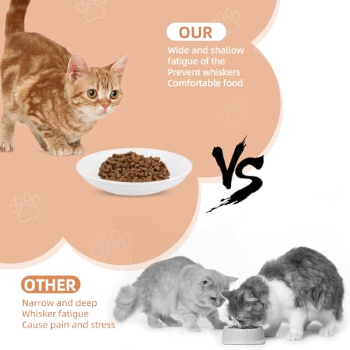 6 Pack Cat Food Bowl, Ceramic Cat Bowls, Anti Whisker Fatigue Cats Bowl Set,5.5 Inches Shallow Wide Kitten Plates for Food and Water (White-E) - color: White-E