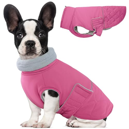 BRKURLEG Dog Winter Jacket, Warm Dog Winter Coats for Small and Medium Large Dogs, Reflective Adjustable Pet Cold Weather Coats, Waterproof Dogs Snow Jacket Clothes Fleece Vest (L, Rose Red) - color: Rose Red, size: Large