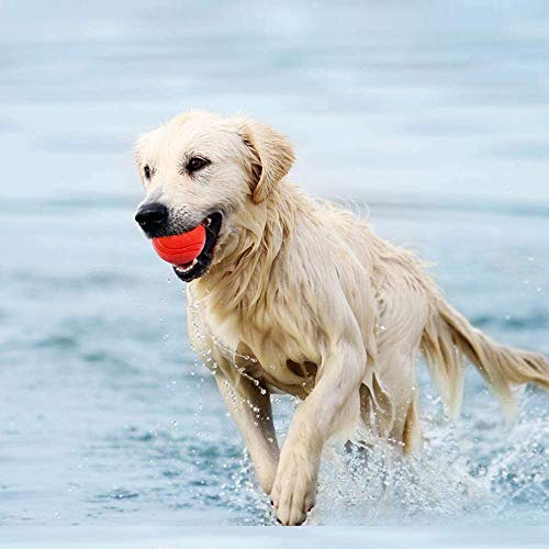 GaesQae Hard Rubber Balls for Dogs,Dog's Solid Rubber Bouncy Ball Bite Resistant and Indestructible Dog Training Ball,Dog Balls for Aggressive Chewers