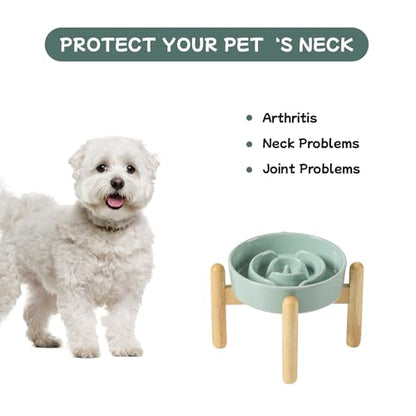 Havniva 6.1” Raised Slow Feeder Dog Bowls, 0.9 Cups Ceramic Dog Bowl Slow Feeding for Small Breed, Elevated Puzzle Dog Food Bowl with Wooden Stand Non-Slip Anti-Gulping & Anti-Choking - color: 1 x Light Green+Stand-A, size: 6.1inch-New