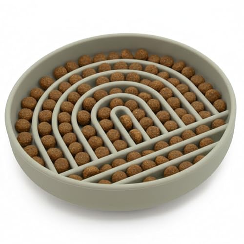 Should We Go? Slow Feeder for Dogs & Puppies, The Slowdown Bowl Silicone Slow Eating, Modern Lick Mat Design, Reduces Gulping, Fits 2 Cups, 7.5” Across x 1.5” Tall, Mealtime Challenge, Medium-Sage - color: Sage - Rainbow Design, size: Medium (7.5” Across