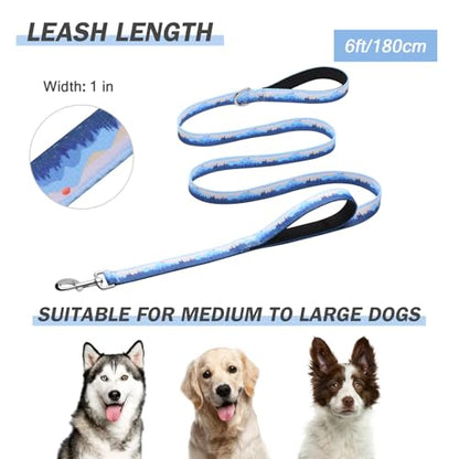 Hikiko Double Handle Dog Leash 6 Foot Strong Nylon Padded Traffic Handles for Walking Training (Blue Hill) - color: Blue Hill, size: 1 in x 6 ft