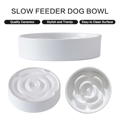 6'' Ceramic Slow Feeder Dog Bowls - Petal Shape Modern Dog Food Dish for Cats and Small Breed Dogs, Puzzle Maze Bowl to Slow Down Eating, Anti-Gulping, Dishwasher & Microwave Safe, White - color: White, size: 6 inch