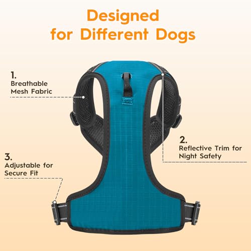 No Pull Dog Harness, No Chock Reflective Adjustable Soft Padded Pet Vest with Easy Control Handle, Easy Wearing with Stylish, Reinforced Knot, 2 Buckles - color: Frosted Aqua, size: X-Small