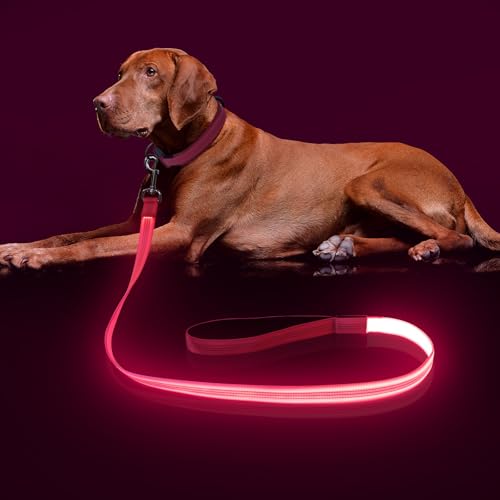 Colaseeme Light Up Dog Leash, LED Pet Leashes USB Rechargeable, Glow Safety Dogs Lights at Night (4FT,Pink) - color: Pink, size: 4FT