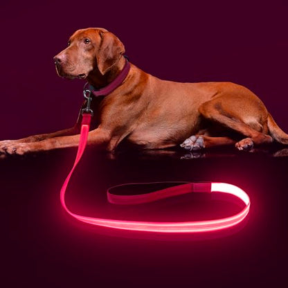 Colaseeme Light Up Dog Leash, LED Pet Leashes USB Rechargeable, Glow Safety Dogs Lights at Night (4FT,Pink) - color: Pink, size: 4FT