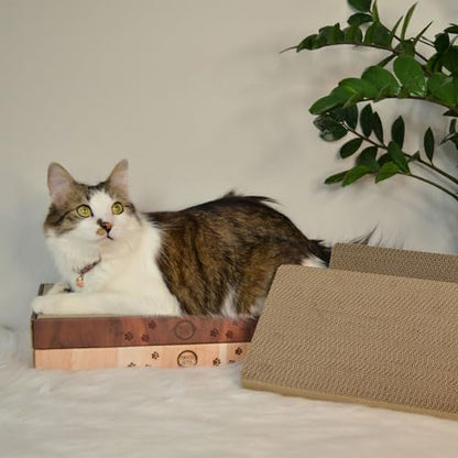 Necoichi Cardboard Cat Scratcher Bed for Indoor Cats - Cat Scratching Board (16" Regular, c. Replacement 2 Pads) - size: 16" Regular