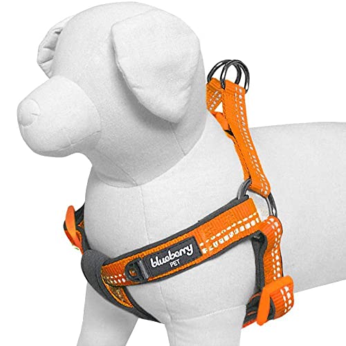Blueberry Pet Soft & Comfy 3M Reflective Step-in Pastel Color Padded Dog Harness, Chest Girth 26" - 39", Orange Peel, Large, Adjustable Harnesses for Dogs