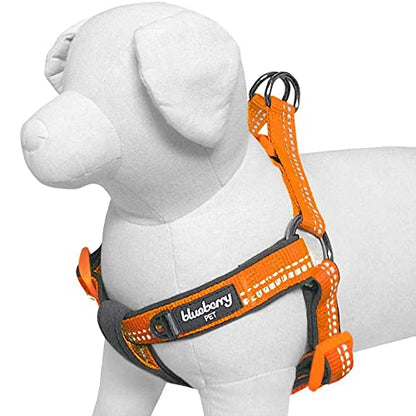 Blueberry Pet Soft & Comfy 3M Reflective Step-in Pastel Color Padded Dog Harness, Chest Girth 26" - 39", Orange Peel, Large, Adjustable Harnesses for Dogs