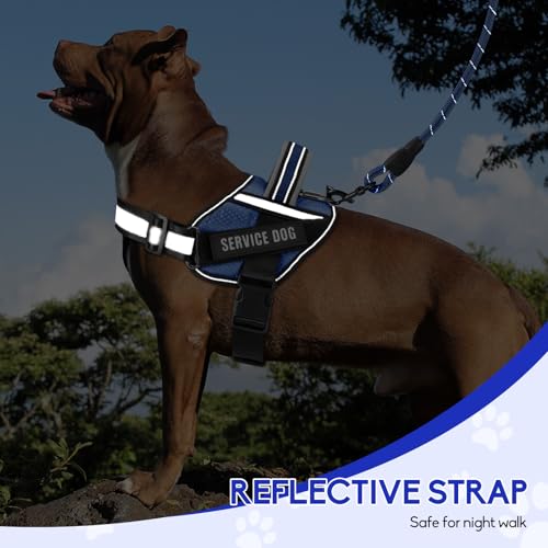 Service Dog Vest Harness and Leash Set, Animire in Training Dog Harness with 10 Dog Patches, Reflective Dog Leash with Soft Padded Handle for Small, Medium, Large, and Extra-Large Dogs (Blue, XS) - color: Blue, size: XS
