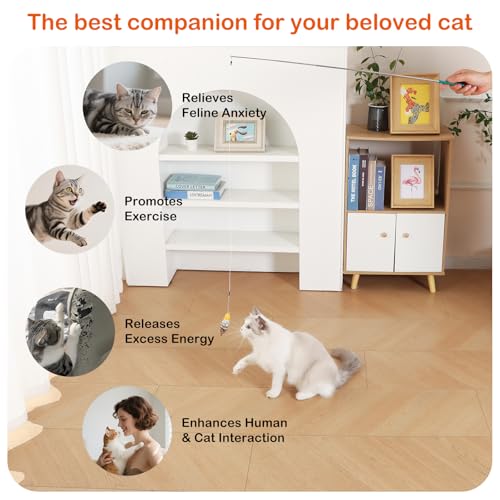 FlutterFlick Refill Pack – Phasianus, Gallus, Butterfly & Chloris Sinica Attachments for Interactive Cat Wand Toys - color: FlutterFlick Refills