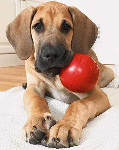 Jolly Pets Tug-n-Toss Heavy Duty Dog Toy Ball with Handle, 3 Inches/Mini, Red (403 RD) - color: Red, size: 3 in/Mini