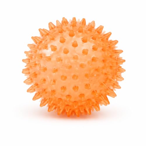 Squeaky Spiky Dog Ball for Teeth Cleaning & Gum Massage 2.5 Inch Small Medium Dogs Orange | Spiny TPR Rubber Chew Toy for Fetch Play Interactive Bouncy Dental Ball Durable BPA Free Nontoxic Floats - size: Orange, 2.5" 1 - Pack