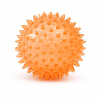 Squeaky Spiky Dog Ball for Teeth Cleaning & Gum Massage 2.5 Inch Small Medium Dogs Orange | Spiny TPR Rubber Chew Toy for Fetch Play Interactive Bouncy Dental Ball Durable BPA Free Nontoxic Floats - size: Orange, 2.5" 1 - Pack