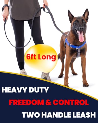Heavy Duty Leash for Large Dogs that Pull, Two Handle Dog Leash, Three-Layer Sandwich Mesh-Lined Nylon Webbing, Sturdy Metal Zinc Hook, 6FT Long, Large Medium Dogs (Black/Grey, 1'' X 6ft.) - color: Black/Grey, size: 1'' X 6ft.